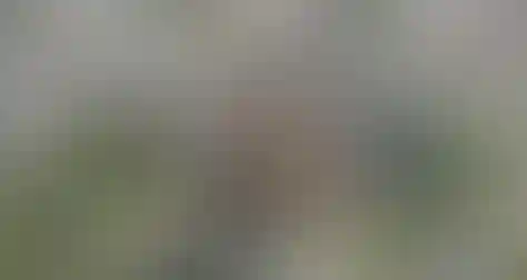 Первью панорамы