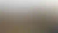 Генеральный подряд <br>монолитные работы