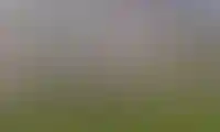 изображение преимущества