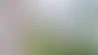 Изображение параграфа
