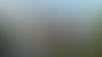 Изображение параграфа