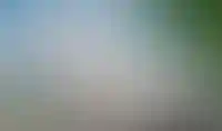 изображение галереи