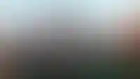 изображение галереи