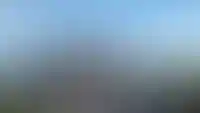 изображение галереи
