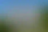 изображение галереи