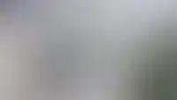 Первью панорамы