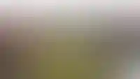 Первью панорамы