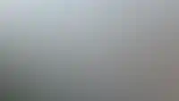 PLUS ПЕШЕХОДНАЯ АЛЛЕЯ