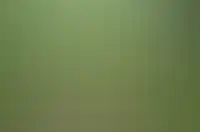 Экологический комфорт