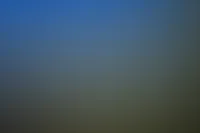 320 лет истории